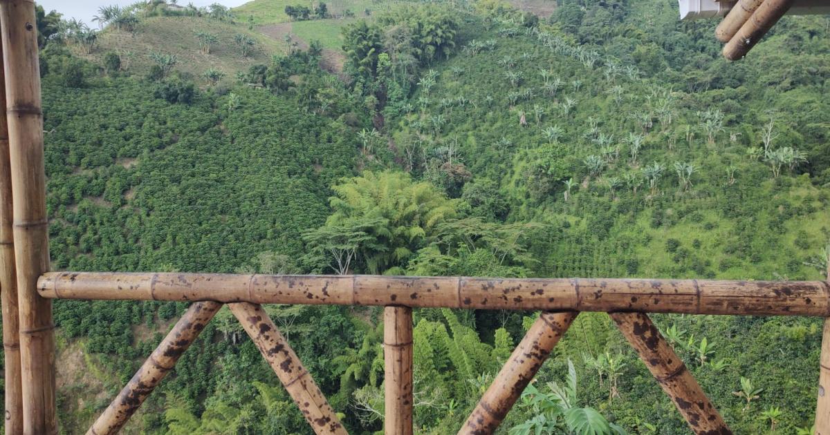 Vista 2 de cabaña de bambú