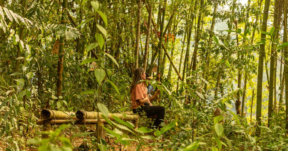 Shalom, bosque natural, bambú, habitaciones múltiples, sencillas y VIP. cerca a Neira