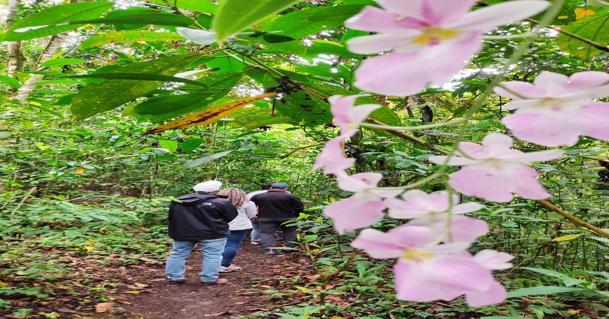 Experiencia en Bosques de la Pradera