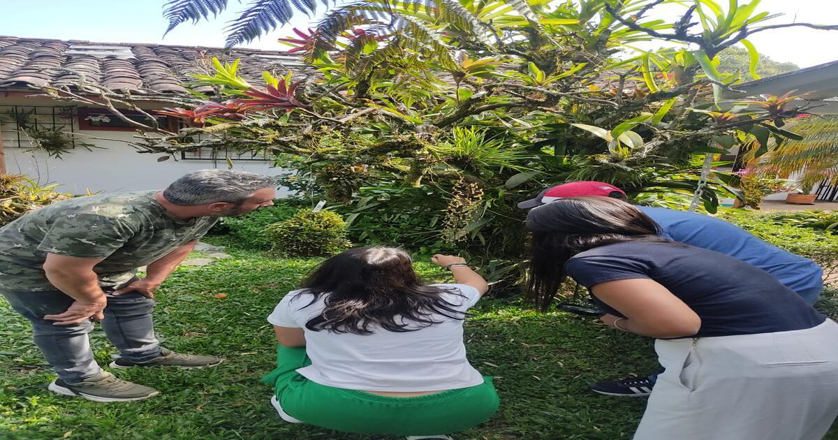 Experiencia Bosques de la Pradera