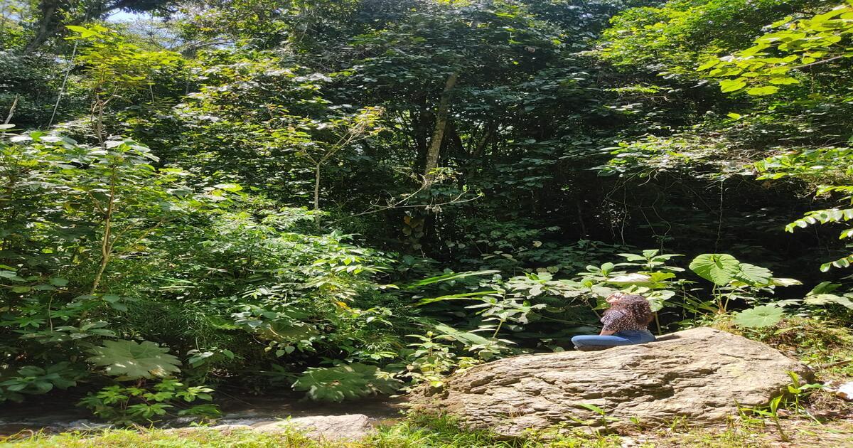 Experiencia Bosques de la Pradera