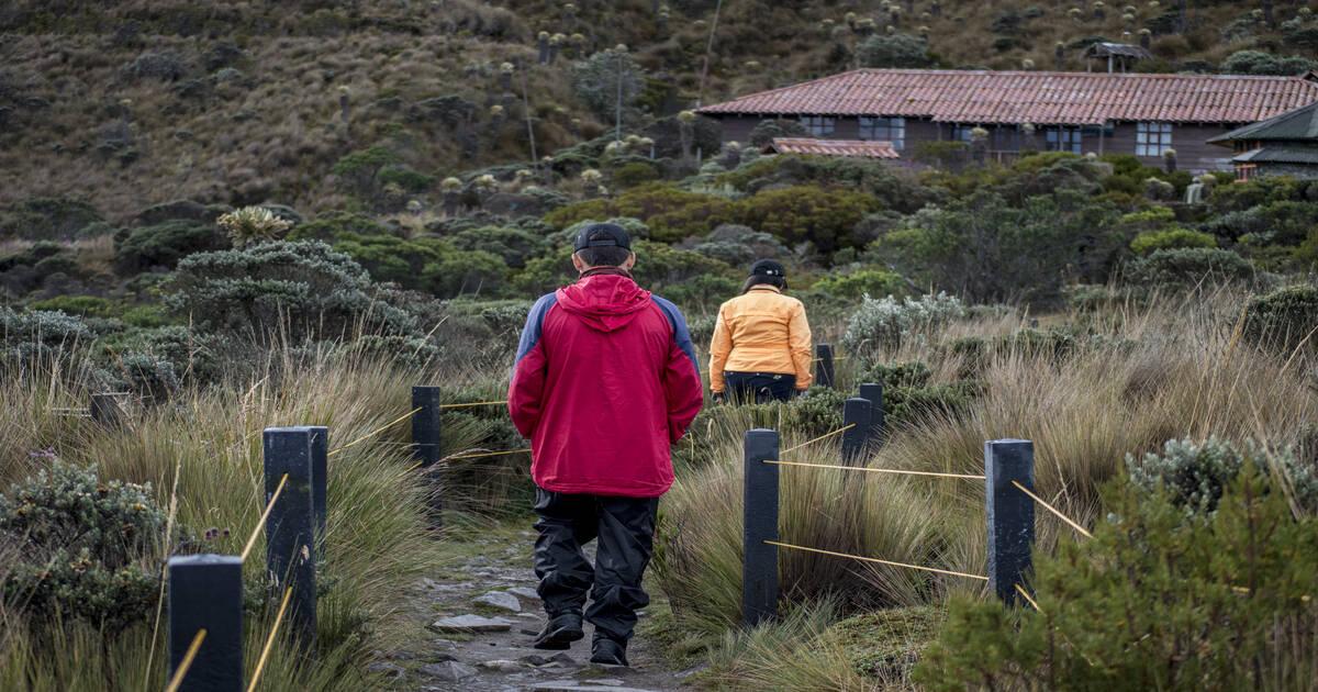 Nevado - Que Hacer En Manizales