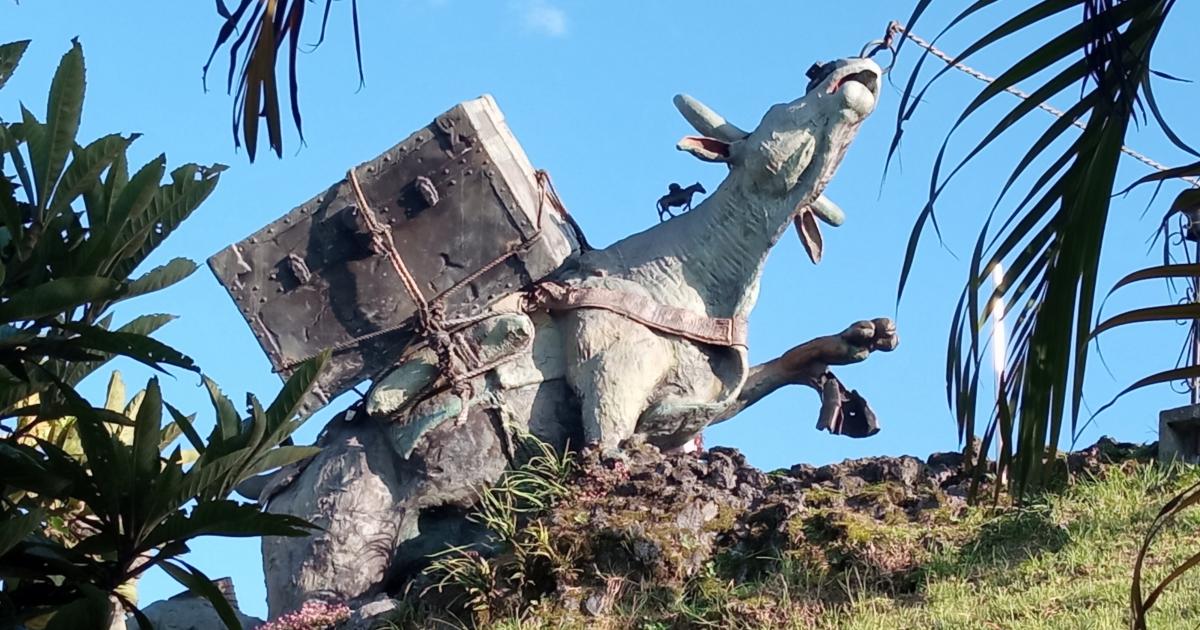 Experiencia City Tour Manizales