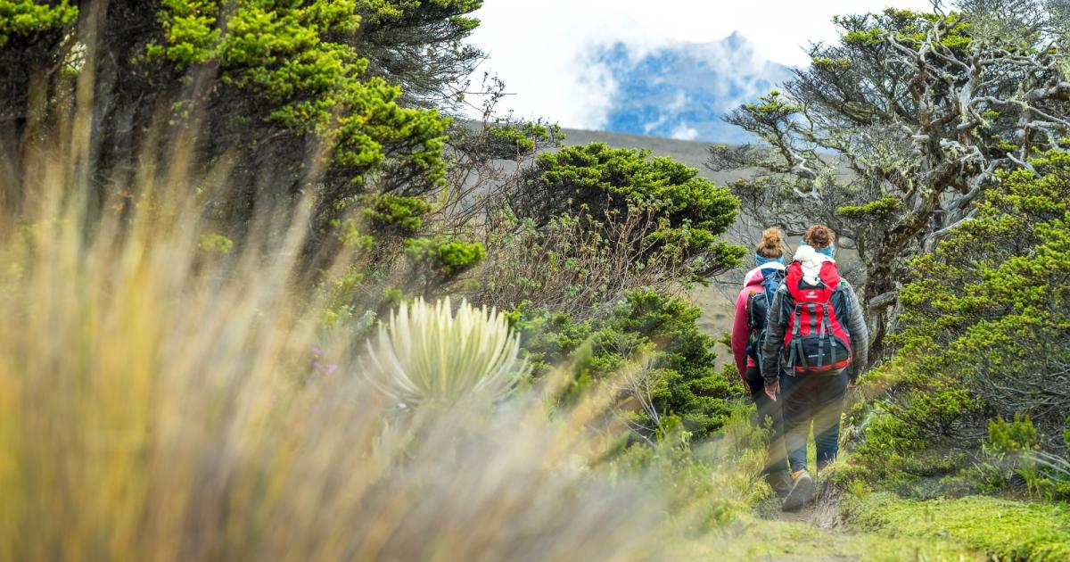 Travesía de los páramos - Kumanday Adventures