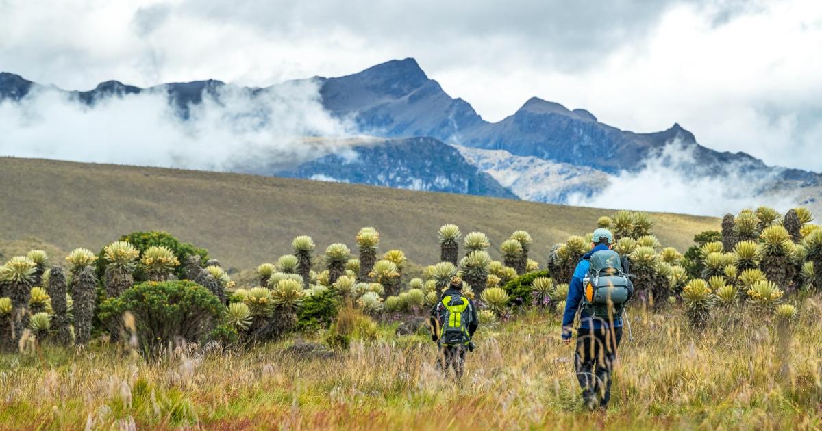 Travesía de los páramos - Kumanday Adventures